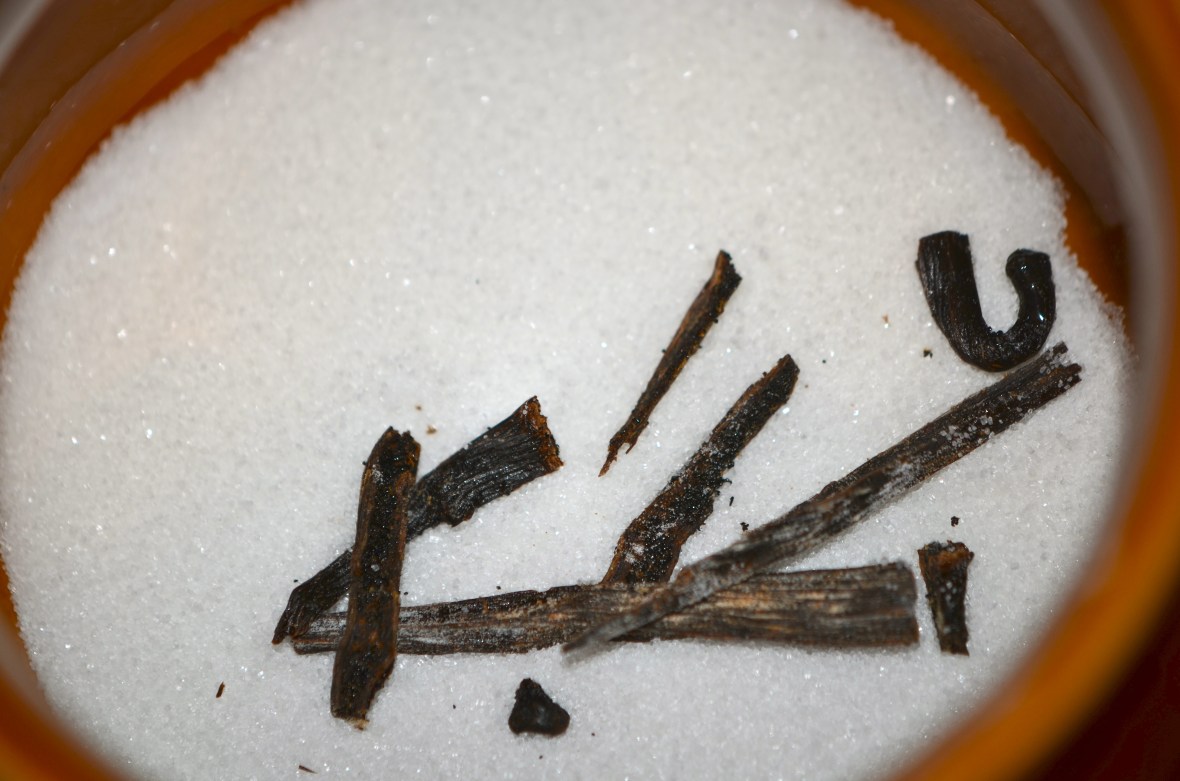 Vanilla beans in sugar to make vanilla sugar